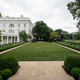 Illustration for article titled Melania's New White House Rose Garden Is Fittingly Joyless and Empty